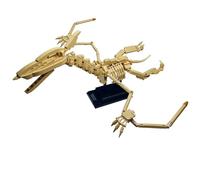 UG Pieces Dinosaur Fossil Building Block Set, Pterodactyl Skeleton Bone Model Construction Toy Brick Kit, Gift For Kids, Boys, Girls, Collectors, 491 Pieces