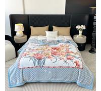 UGFJMN 5.5 lbs Heavy Korean Mink Blanket 59"×78", Silky Soft and Warm, 2 Ply Reversible Raschel Bed Blanket,(150x200cm 2.5kg)