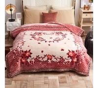 UGFJMN 6.6 lbs Heavy Korean Faux Mink Fleece Blanket 70"×86", Silky Soft and Warm, 2 Ply Reversible Raschel Bed Blanket,Pattern Printed Embossed Microfiber Blanket,(180x220cm 3kg)