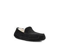 Ugg Ascot Slippers