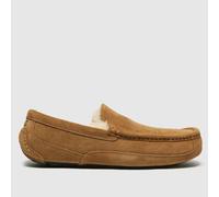 UGG Men's Ascot Slipper, Chestnut, 6 UK