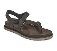 UGG Australia Flat sandals GOLDENGAZE TOE POST WOMEN'S in Brown 8