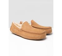 Ugg Australia UGG Ascot Mens Slipper - Chestnut Suede - Size UK 10