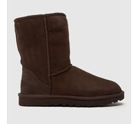 UGG Classic Short II Chestnut Twinface Boot Size: 36, Colour: Tan Suede