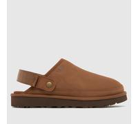 UGG Goldencoast Clog Sandals in Dark Chestnut UK 11 (EU 45)