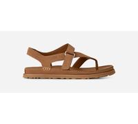 UGG Women's Goldengaze Toe Post Sandal, Chestnut, 10