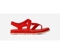 UGG womens Goldengaze Toe Post, Red Pepper, 5