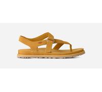 UGG® GoldenGaze Toe Post Sandal in Wheat Field, Size 6, Suede/Polyester/Leather