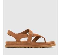UGG Women's Goldengaze Toe Post Sandal, Chestnut, 8