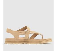 Ugg Goldengaze Toe Post Sandals Beige,Brown EU 38 Woman