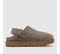 UGG Goldenstar Clog Women's - Brown 7