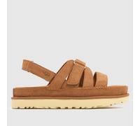 Goldenstar Gleam Sandals Chestnut - female - UGG - Flat Sandals - Brown - 3 UK - Shoes 3 UK