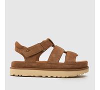 UGG - W Goldenstar Strap Chestnut - 37 - Shoes