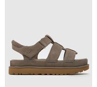 Ugg Goldenstar Strap Sandals