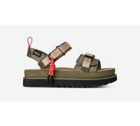 UGG® Goldenstar Wildwood Sandal in Green, Size 7, Suede/Polyester