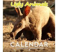Ugly Animals Calendar 2026: So Hideous, They're Actually Adorable | Kalender Calendario Calendrier | A Laugh-Out-Loud Wildlife Gift