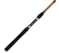 Ugly Stik Bigwater Spinning Fishing Rod