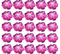 UGOMEDA 100 Pcs Sequin Bead Flowers Patches, 0.8"/2cm Flowers Applique with Crystal Beaded Sew on Cloth Patch for Dress Garment Shoes Bags Accessory DIY Clothes Craft,Rose red