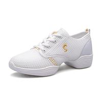 Uhclrr Women's Dance Shoes Soft Outsole Woman Mesh Breathable Jazz Hip Hop Sports Sneakers Ladies Girl's Modern Jazz Dancing Shoes(38EU, White Gold)
