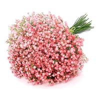 Uhky 6 Pcs Artificial Baby Breath Gypsophila Flowers Bouquets Real Touch Flowers for Wedding Party DIY Wreath Floral Arrangement Home Decoration (Pink)
