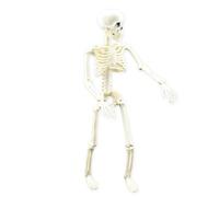 Uhngw Posable Skeleton - Human Skeleton Model with Posable Movable Joints | Realistic Full Body Bone Toy Indoor Outdoor Party Decor