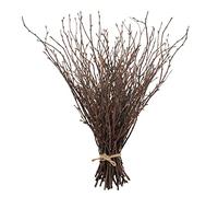 Uieke 50PCS Birch Twigs - 17 Inch Natural Dried Plants Decorative Birch Branches for DIY Crafts, Birch Sticks for Vases Wedding Arrangements Home Wreath Decor