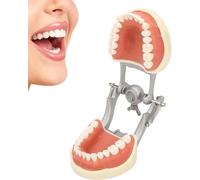 UIGJIOG 32 Teeth Standard Teeth Model Dental Teaching Standard Typodont Demonstration Soft Gum Teeth Model Clean Display Study