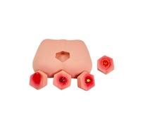 UIGJIOG Decubitus 4 stages Pathological changes Decubitus model For human care Decubitus model 4 stages Wound care models Wound model set Nursing teaching models