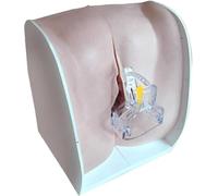 UIGJIOG Female Contraceptive Models,Contraceptive Guidance Model,Teaching And Training of Medical Models for Gynaecological Examinations for Family Planning