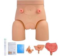 UIGJIOG Male Female Catheterization Model Interchangeable for Students Nurses Catheterization Simulator Kit Urethral Catheter Model