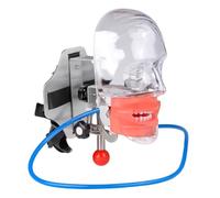 UIGJIOG Tooth Model Dental Plastic Simulator Manikin Phantom Head Teaching Typodont Tooth Head Model Fix on Chair with 28 Removable Teeth for Dentist Education