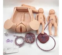 UIGJIOG Twin Delivery Model with Separate Uteruses Advanced Midwifery Training Birth Simulator Full-Size Maternity Manikin Includes Baby Uterus Models, Amniotic Sac, Pelvis
