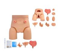UIGJIOG Urethral Catheter Model Catheterization Model Male Female Interchangeable, Nursing Practice Urinary Urethral Catheter Manikins PVC Teaching Catheter Model