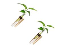 UIKGVX 2Pcs Hydroponic Wall Planter Incorporating Tubes Wooden and PU Leather Strap for Efficient Vertical Planting and Decors Wall Mounted Plant Vases Vertical Garden Display Wood Pu Leather