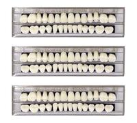 UILYNIU 3 Pieces False Teeth Acrylic Resin Fake Teeth 3 Set Whole Teeth Synthetic Polymer Denture Tooth for Replacement, DIY or Halloween Makeup Cosplay Costume Ornament Supplies (3 pcs)