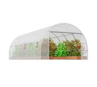 VEVOR Walk-in Tunnel Greenhouse, 19.4x9.7x6.5 ft Hoop House Greenhouse Tunnel, Plant Hot House with Galvanized Steel Frame, White PE Cover, Roll-up Zipper Door and 12 Windows for Outdoor