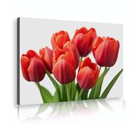 UIRINGART Red Tulip Floral Canvas Wall Art Contemporary Flower Prints Botanical Poster Painting Modern Artwork for Living Room Home Office Decor 65x100cm Innerframe