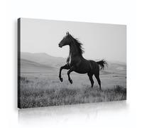 UIRINGART Wild Stallion Canvas Wall Art Black White Horse Picture Print Scenic Landscape Photography Poster Painting Rustic for Home Office Decor 80x125cm Innerframe