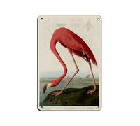 UIYTYBGAG American Flamingo Poster Tin Sign Vintage Metal Pub Club Cafe Bar Home Wall Art Decoration Poster Retro 8x12inch(20x30cm)