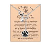 UJIMS Veterinary Technicians Gifts A Prayer for Veterinarians Necklace Veterinarian Appreciation Gifts Vet Student Graduation Gift, 1, Stainless Steel, Rhinestone