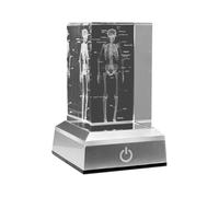Ujjdwiurgh 3D Engraved Human Skeletal Crystal Cube Figurines, Medical Science Gifts, Organ Anatomical Model Paperweight B