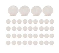 Ujjdwiurgh 40PCS Natural Scallop Shells 1.4-2.4inch White Small Sea Shells for Crafts Crafting Shell Bulk Real Seashells
