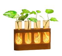 Ujjdwiurgh 9-Speed Adjustable LED Lights,Plant Propagation Station, Plant Terrarium with Wooden Stand, 4 Test Tube Vases