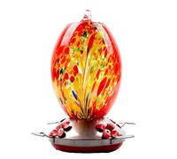 Ujjdwiurgh Hummingbird Feeder, Large Glass Bird Feeder for Outdoor Use with Ant Proof Hooks