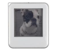 Ujjdwiurgh NFC Function Keyring 1.54-Inch Three Color Display Screen Image Wireless Transmission Keychain Ink Screen