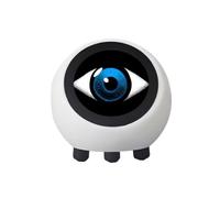 Ujjdwiurgh Tabletop Ornaments for Home Decor AI Voice Chat Robot Multi-Function ESP32-S3 Development Board with LCD Display Mini No Touch