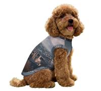 UK Edinburgh City Small Dog And Cat Clothes Pet Cooling Shirt