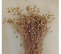 UK farm hand-harvested flax sprays 100g flax spray hamster treat bird treat