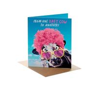 UK Greetings Birthday Card for Her/Friend - Funny Daft Cow Design
