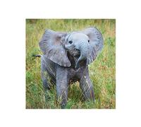 UK Greetings Birthday Card for Him/Her/Friend - Elephant Design